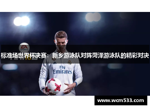 标准场世界杯决赛：新乡游泳队对阵菏泽游泳队的精彩对决