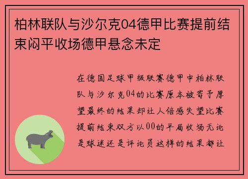 柏林联队与沙尔克04德甲比赛提前结束闷平收场德甲悬念未定