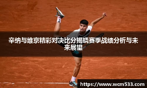 辛纳与维京精彩对决比分揭晓赛季战绩分析与未来展望